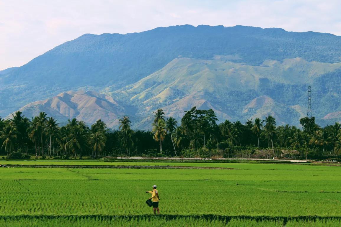 Climate and development