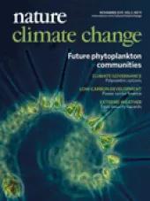 Cover report