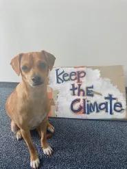 Milo, the dog, protesting for climate action