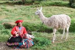 Development of a NAMA proposal for Peru
