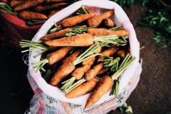 carrots in netbag
