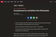 screenshot article