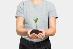 <a href="https://de.freepik.com/fotos-kostenlos/pflanze-in-der-hand-zur-wiederaufforstung-um-den-klimawandel-zu-verhindern_15669685.htm#page=3&query=reforestation&position=48&from_view=search&track=sph&uuid=1c0fd8ea-18c5-4d1a-afc1-3d3eb58b5db4">Bild von rawpixel.com</a> auf Freepik