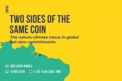 COP30 side event climate-nature-nexus