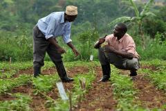 Two men on a field in Uganda