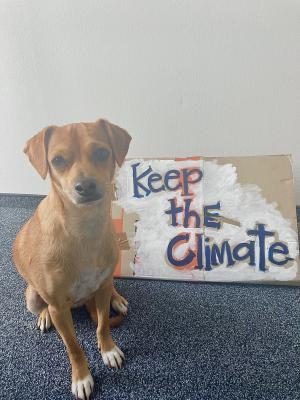 Milo, the dog, protesting for climate action