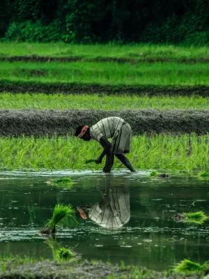 Climate and development