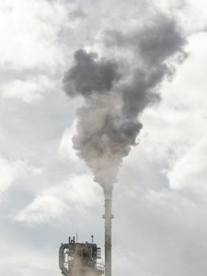 Carbon market mechanisms